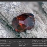 Spessartine (Garnet Group)<br />East Grants Ridge, Cibola County, New Mexico, USA<br />fov 3 mm<br /> (Author: ploum)