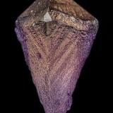 Fluorite<br />Elmwood Mine, Carthage, Central Tennessee Ba-F-Pb-Zn District, Smith County, Tennessee, USA<br />6.8 x 3.8 cm<br /> (Author: am mizunaka)