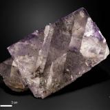 Fluorite<br />Annabel Lee Mine, Harris Creek Sub-District, Hardin County, Illinois, USA<br />95 x 55 mm<br /> (Author: Manuel Mesa)