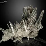 Hübnerite and Quartz<br />Mundo Nuevo mining area, Mundo Nuevo, Huamachuco, Sánchez Carrión Province, La Libertad Department, Peru<br />100 X 45 mm<br /> (Author: Manuel Mesa)