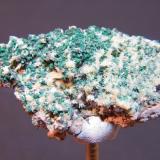 Malachite and Mimetite<br />Tsumeb Mine, Tsumeb, Otjikoto Region, Namibia<br />43mm x 24mm<br /> (Author: Heimo Hellwig)