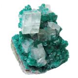 Calcite, Dioptase<br />Tsumeb Mine, Tsumeb, Otjikoto Region, Namibia<br />Specimen height 2,5 cm<br /> (Author: Tobi)