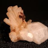 Natrolite, Analcime, RhodochrositeCantera Poudrette, Mont Saint-Hilaire, La Vallée-du-Richelieu RCM, Montérégie, Québec, Canadá40 mm x 30 mm 25 mm (Author: Don Lum)