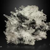 Hübnerite and Quartz<br />Mundo Nuevo mining area, Mundo Nuevo, Huamachuco, Sánchez Carrión Province, La Libertad Department, Peru<br />138 x 134 mm<br /> (Author: Manuel Mesa)