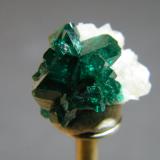 Dioptase<br />Tsumeb Mine, Tsumeb, Otjikoto Region, Namibia<br />11mm x 13mm<br /> (Author: Heimo Hellwig)