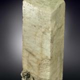 Microcline<br />Shigar Valley, Shigar District, Gilgit-Baltistan (Northern Areas), Pakistan<br />147 X 48 mm<br /> (Author: Manuel Mesa)