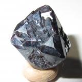 Cuprita<br />Mina Rubtsovskoe, Distrito Rubtsovsky, Altai Krai, Rusia<br />13 x 13 mm. (arista)<br /> (Autor: prcantos)