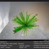 Agardite - CeMina Clara, Valle Rankach, Oberwolfach, Wolfach, Selva Negra, Baden-Württemberg, Alemaniafov 1.2 mm (Author: ploum)