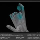 Rosasite and Hemimorphite<br />Vesley Mine, Granite Gap, San Simon District, Hidalgo County, New Mexico, USA<br />fov 1.7 mm<br /> (Author: ploum)