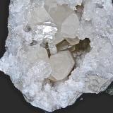Calcite on Quartz<br />State Route 37 road cuts, Harrodsburg, Clear Creek Township, Monroe County, Indiana, USA<br />the largest intact calcite, seen on end at the 6 o''clock position, in this picture is 7.0 cm<br /> (Author: Bob Harman)