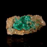 Brochantite, Quartz<br />Blanchard Mine (Portales-Blanchard Mine), Bingham, Hansonburg District, Socorro County, New Mexico, USA<br />55 mm x 26 mm x 23 mm<br /> (Author: Don Lum)