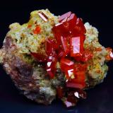 Wulfenite<br />Red Cloud Mine, Trigo Mountains, Silver District, La Paz County, Arizona, USA<br />3.1 cm<br /> (Author: Nunzio)