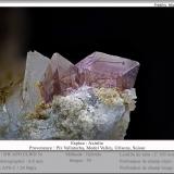 Axinite (Group)<br />Piz Vallatscha, Lukmanier Pass, Grischun (Grisons; Graubünden), Switzerland<br />fov 6.0 mm<br /> (Author: ploum)