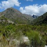 A small distance up the gorge; looking back, I can see the tar road in Michells Pass. (Author: Pierre Joubert)