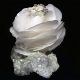 Calcita<br />Mina Yaogangxian, Yizhang, Prefectura Chenzhou, Provincia Hunan, China<br />Rosa 25x25 mm<br /> (Autor: Ramon A  Lopez Garcia)