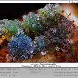 Adamite and Agardite-(Y)Mina Hilarion, Zona Hilarion, Minas Kamariza, Agios Konstantinos, Distrito minero Lavrion, Prefectura Attikí (Attica), Greciafov 5 mm (Author: ploum)