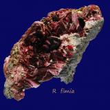 Eritrita (Eritrina)<br />Distrito minero Bou Azzer, Región Drâa-Tafilalet, Marruecos<br />6 x 4 cm<br /> (Autor: Ricardo Fimia)