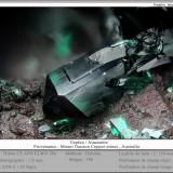 Atacamite<br />Cattle Grid deposit (Mount Gunson), Mount Gunson Copper mines, Pernatty Lagoon, Stuart Shelf, South Australia, Australia<br />fov 1 mm<br /> (Author: ploum)