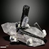 Quartz and Schorl<br />Shigar Valley, Shigar District, Gilgit-Baltistan (Northern Areas), Pakistan<br />81 x 63 mm<br /> (Author: Manuel Mesa)