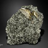 Titanite<br />Tormiq Valley, Baltistan District, Gilgit-Baltistan (Northern Areas), Pakistan<br />131 x 98 mm<br /> (Author: Manuel Mesa)