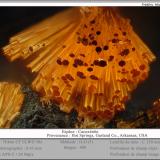 Cacoxenite<br />Hot Springs, Garland County, Arkansas, USA<br />fov 0.45 mm<br /> (Author: ploum)