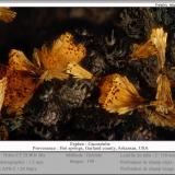 Cacoxenite<br />Hot Springs, Garland County, Arkansas, USA<br />fov 1.2 mm<br /> (Author: ploum)