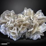 Gypsum<br />Teruel, Aragon, Spain<br />89 x 53 mm<br /> (Author: Manuel Mesa)