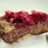 Erythrite, Roselite<br />Bou Azzer mining district, Drâa-Tafilalet Region, Morocco<br />7.5 cm<br /> (Author: Nunzio)