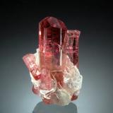 Elbaite<br />Malkhan (Malchan), Krasnyi Chikoy, Zabaykalsky Krai, Russia<br />1.4 x 2.1 cm<br /> (Author: crosstimber)