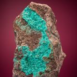 Ajoite<br />New Cornelia Mine, Ajo, Little Ajo Mountains, Ajo District, Pima County, Arizona, USA<br />6.4cm x 4.4cm<br /> (Author: rweaver)