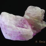 Espodumena (variedad kunzita)<br />Pegmatita Mawi, Nilaw-Kolum, Distrito Du Ab, Provincia Nuristan, Afganistán<br />4 x 4 cm<br /> (Autor: Ricardo Fimia)
