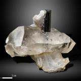 Elbaite on Quartz<br />Stak Nala, Haramosh Mountains, Baltistan District, Gilgit-Baltistan (Northern Areas), Pakistan<br />68 x 60 mm<br /> (Author: Manuel Mesa)