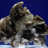 Mica (Grupo)<br />Fibbia, Fontana, Macizo Central San Gotardo, Leventina, Ticino (Tessin), Suiza<br />6 x 6 x 3 cm<br /> (Autor: Ricardo Fimia)