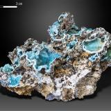 Rosasite and Aurichalcite<br />Ivona Fernanda Mine, Arruiduyu, Asiego, Cabrales, Comarca Oriente, Principality of Asturias (Asturias), Spain<br />95 x 72 mm<br /> (Author: Manuel Mesa)