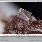 Fluorite on Quartz<br />L'Argentolle Mine, L'Argentolle, Saint-Prix, Saint-Léger-sous-Beuvray, Autun District, Saône-et-Loire, Bourgogne-Franche-Comté, France<br />fov 5.5 mm<br /> (Author: ploum)