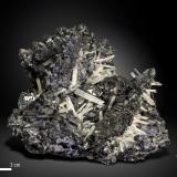 Galena and Quartz<br />Krushev dol Mine, Madan mining area, Rhodope Mountains, Smolyan Oblast, Bulgaria<br />98 x 87 mm<br /> (Author: Manuel Mesa)