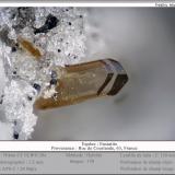 EnstatiteRoc de Courlande, Macizo Monts-Dore, Chastreix-La Tour-d'Auvergne, Distrito Issoire, Departamento Puy-de-Dôme, Auvergne-Rhône-Alpes, Franciafov 1.2 mm (Author: ploum)