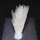 Natrolita<br />India<br />15x30 mm<br /> (Autor: Ignacio)