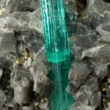 Beryl (variety emerald), Albite (variety cleavelandite), Dolomite, Pyrite<br />Chivor mining district, Palo Arañado Mine, Municipio Chivor, Eastern Emerald Belt, Boyacá Department, Colombia<br />109x41x64mm, main xl=34mm<br /> (Author: Fiebre Verde)