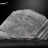 Axinite-(Fe) and Chamosite<br />Puiva Mount, Saranpaul, Khanty-Mansi Okrug, Tyumen Oblast, Russia<br />97 x 56 mm<br /> (Author: Manuel Mesa)