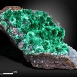 Brochantite<br />Los Azules Mine, Quebrada San Miguel, Copiapó Province, Atacama Region, Chile<br />88 x 46 mm<br /> (Author: Manuel Mesa)