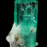 Beryl (variety emerald), Albite (variety cleavelandite), Pyrite, Calcite<br />Chivor mining district, Palo Arañado Mine, Municipio Chivor, Eastern Emerald Belt, Boyacá Department, Colombia<br />33mm<br /> (Author: Fiebre Verde)