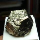 Pirita<br />Concesión San Carlos, Valuengo, Jerez de los Caballeros, Comarca Sierra Suroeste, Badajoz, Extremadura, España<br />30x20 mm<br /> (Autor: Ignacio)
