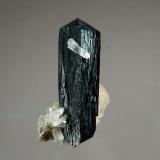 Ilvaite<br />Huanggang Mines, Hexigten Banner (Kèshíkèténg Qí), Chifeng (Ulanhad), Inner Mongolia Autonomous Region, China<br />1.6 x 2.7 cm<br /> (Author: crosstimber)