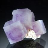 FluoriteGuangxi Zhuang Autonomous Region, China2.0 x 2.6 cm (Author: crosstimber)