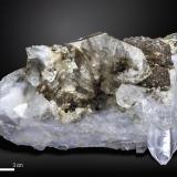 Quartz with Rutile<br />Kharan, Kharan District, Balochistan (Baluchistan), Pakistan<br />115 X 82 mm<br /> (Author: Manuel Mesa)