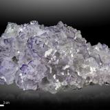 Fluorite<br />Tule Mine, Melchor Múzquiz, Municipio Melchor Múzquiz, Coahuila (Coahuila de Zaragoza), Mexico<br />158 x 80 mm<br /> (Author: Manuel Mesa)