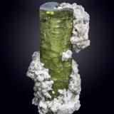 Elbaite<br />Arqueana Mine, Coronel Murta, Vale do Jequitinhonha, Minas Gerais, Brazil<br />70 X 33 mm<br /> (Author: Manuel Mesa)