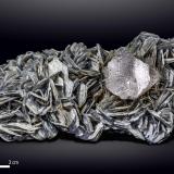 Fluorite on Muscovite<br />Nagar, Hunza Valley, Nagar District, Gilgit-Baltistan (Northern Areas), Pakistan<br />130 x 71 mm<br /> (Author: Manuel Mesa)