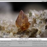 Anatase<br />Col de la Madeleine, La Lauzière Massif, Saint-Jean-de-Maurienne, Savoie, Auvergne-Rhône-Alpes, France<br />fov 5 mm<br /> (Author: ploum)